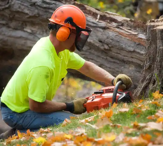 tree services Wading River